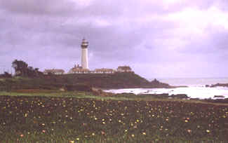 Pigeon Point Lighthouse.JPG (20423 bytes)