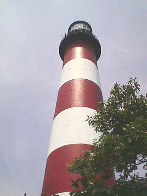 Assateague Lighthouse looking up close up.JPG (138609 bytes)